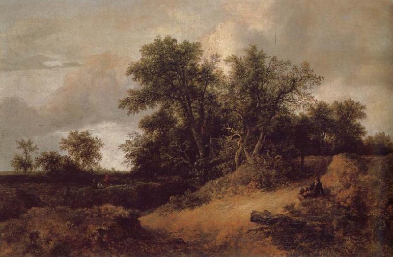 Jacob van Ruisdael Dune Landfscape